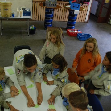 DSC 0196 - Scouts en Gidsen Zaventem 